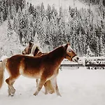 Gut Berg Naturhotel Hotel Sankt Johann im Pongau