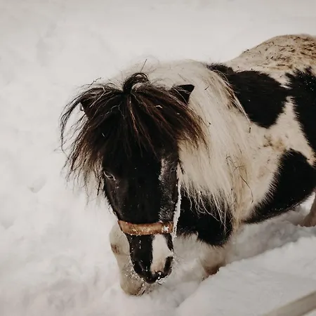 Gut Berg Naturhotel Hotel Sankt Johann im Pongau