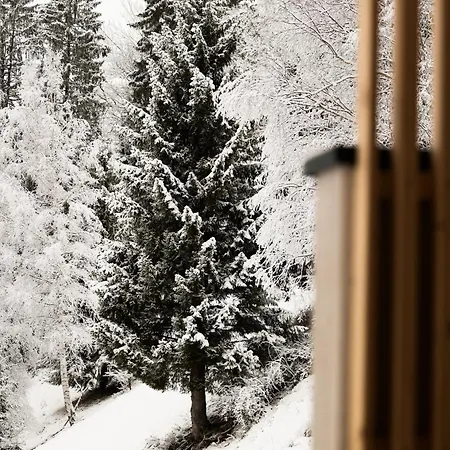 Gut Berg Naturhotel Hotel St. Johann im Pongau