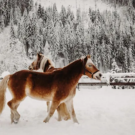 Gut Berg Naturhotel Hotel Sankt Johann im Pongau
