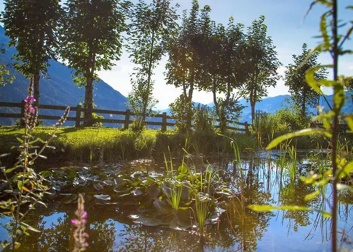 Gut Berg Naturhotel 酒店 4*